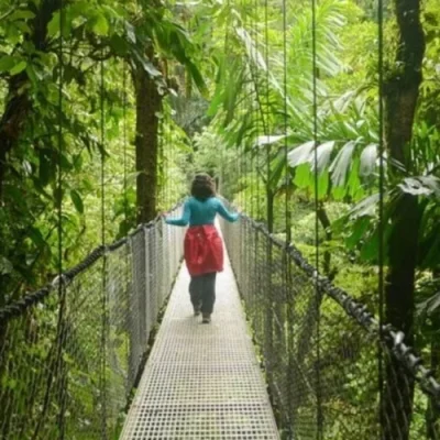 Hanging-Bridges-in-Mistico-Park-Costa-Rica-r1ok4ar66mg0eefy9dl5hfwgjv4l1e5f14hzoks7ss Hanging-Bridges-in-Mistico-Park-Costa-Rica-r1ok4ar66mg0eefy9dl5hfwgjv4l1e5f14hzoks7ss